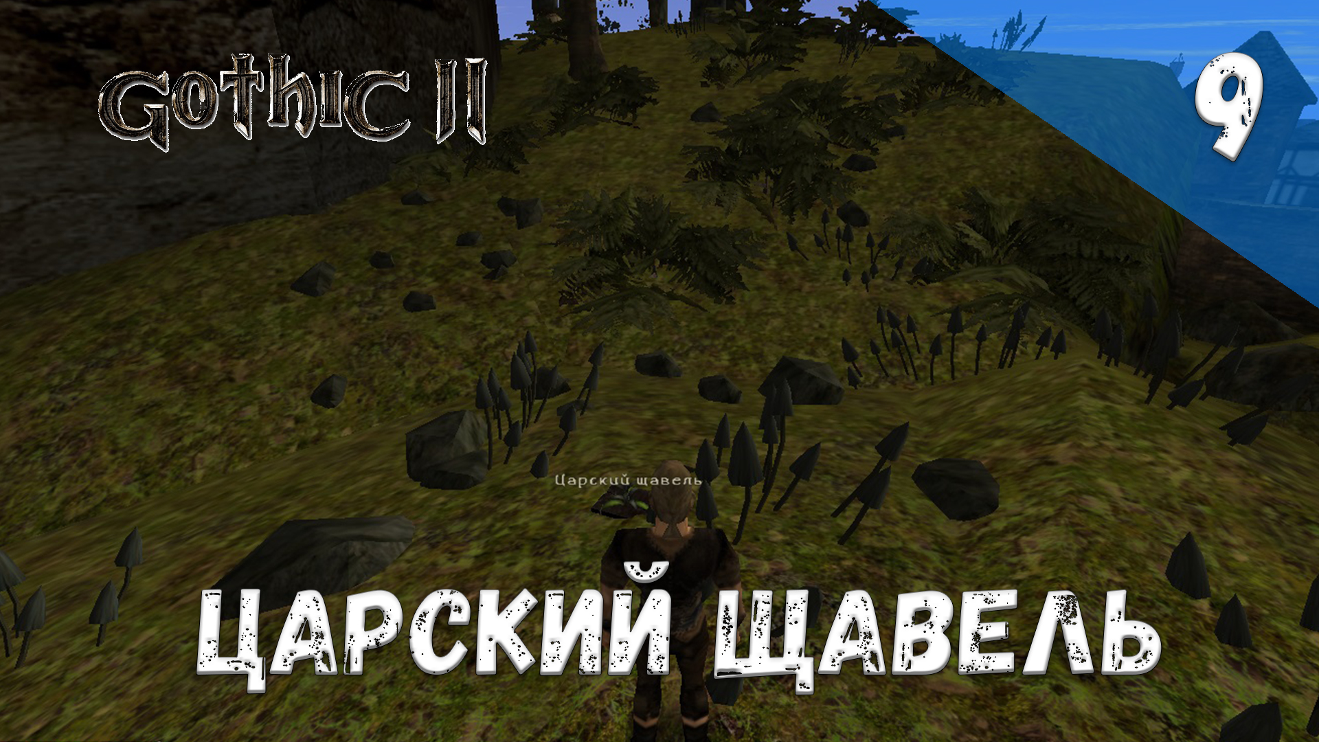 Gothic 2 Ночь Ворона Прохождение #9 Царский щавель