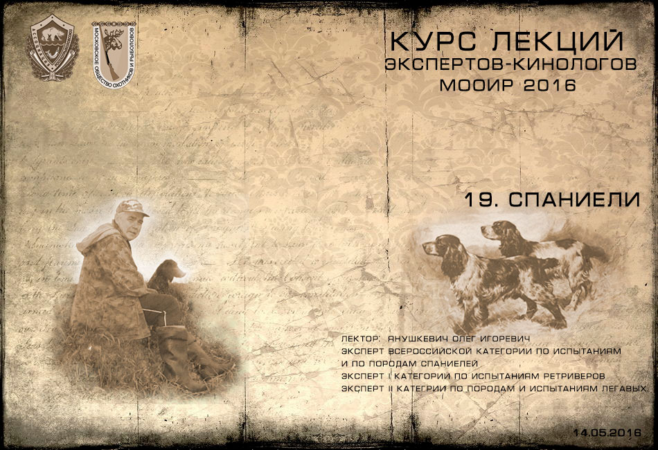 Лекция 19. Спаниели. (Курсы экспертов-кинологов МООиР 2016) смотреть ...
