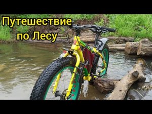 Путешествие по Лесу на Фэтбайке. По уши в грязи.