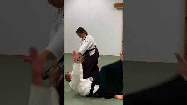 @aikido_tendoryu_deutschland