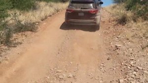 2019 Toyota Highlander Off roads