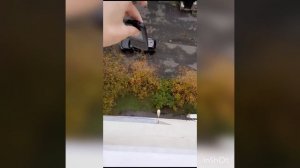 омагад ПОКО