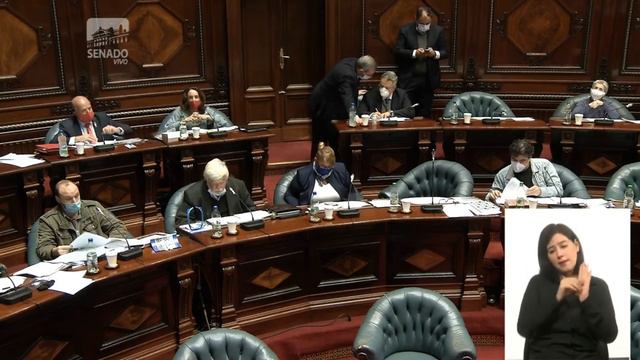 DEBATE en el SENADO | EDUARDO BONOMI | LUC - Proyecto de Ley de Urgente Consideración смотреть онлайн