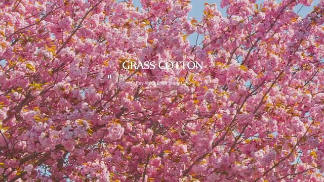 Нежная романтичная инструментальная музыка. Музыка для создания атмосферы, настроения, удовольствия. смотреть онлайн