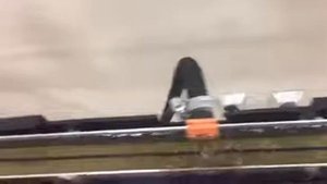 Производство PETG пластика