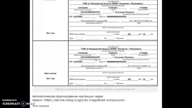 Государственная пошлина при регистрации ИП