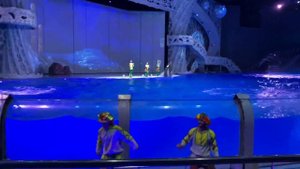 Шок !! Увидели касаток ! Московский океанариум , Посетили москвариум , дельфинарий в Москве