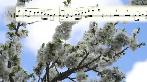 Dinka ft. Syntheticsax - Elements (EDXs Remix) Backing Track & Sheet for Music SaxophoneSoprano