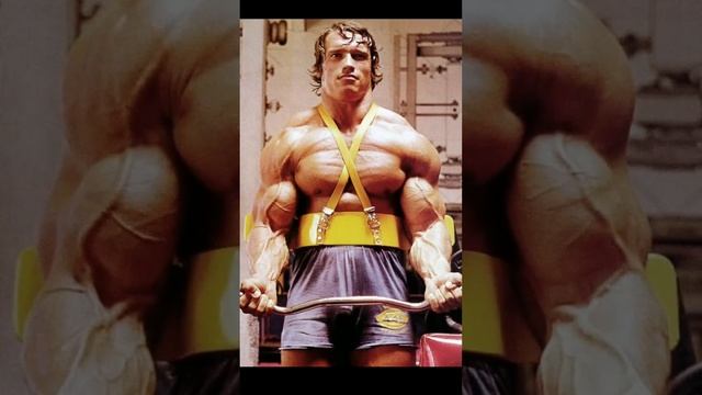 Arnold schwarzenegger hard Workout video смотреть онлайн