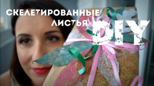 DIY. Скелетированные листья своими руками. Как заготовить_ Идея для оформления подарка.