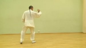 Taiji Chen Romanov R   ч 3- Комментарии к движениям первого комплекса