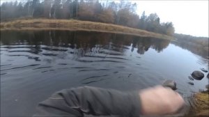 р.Луга .Открытие сезона ловли налима .Эпизод -2 .Осень 2019. Налим. Язь.Хариус .