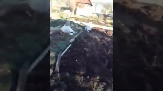 Дачный сторож. смотреть онлайн