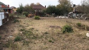 Продаю участок в станице Динской, Краснодарский край
