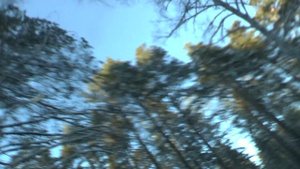 База Энергия-8.01.2018