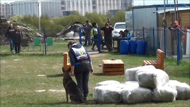 Мондьоринг Подольск
