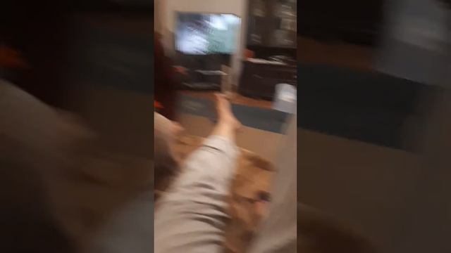 Максик играет с мышкой смотреть онлайн