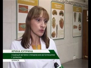 трихинеллёз 11 11 16