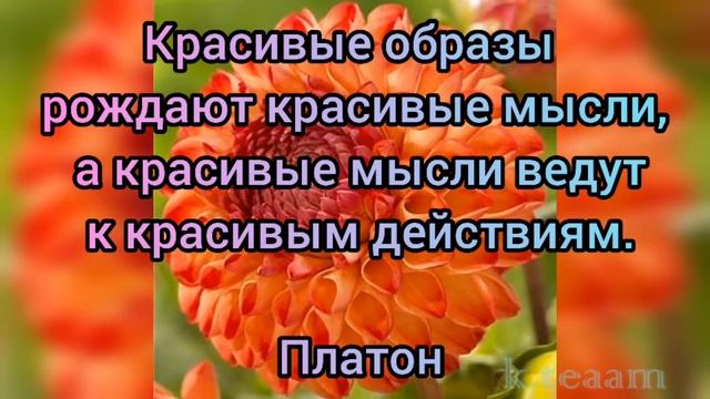 Красота слова, мысли, цвета...  О чём говорят цветы.