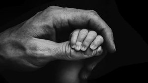 В память о ДЕТЯХ  " зимняя вишня " Макс Фадеев "АНГЕЛЫ"