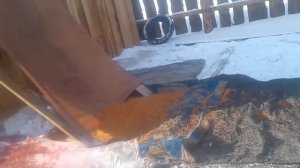 Чистка облепихи без труда