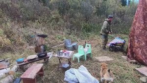 Газ 3308 #161 08.10.2019