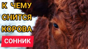 К чему снится КОРОВА или видеть ВО СНЕ корову. Толкование сна. Сонник