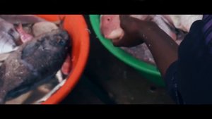 Отдых в Кабо-Верде. Остров Sal. Часть 1