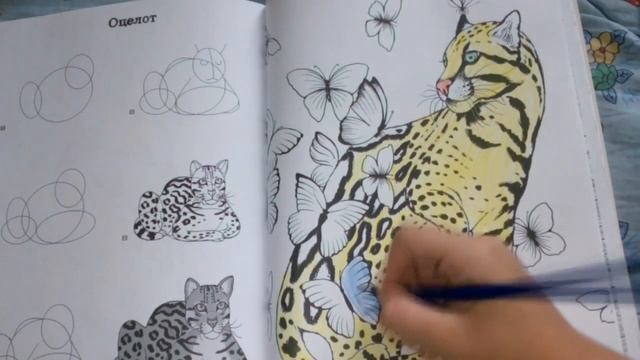 Снимаем стресс. Раскраска антистресс. смотреть онлайн