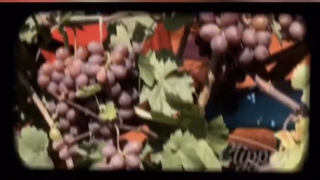 И. А. Гончаров "Обломов" смотреть онлайн