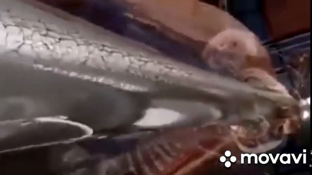 энергия человека на выходе при атаке смотреть онлайн