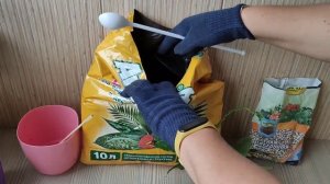 Женское Счастье (Спатифиллум), как Правильно Пересадить