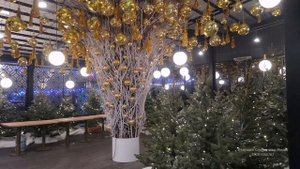 ведущий на корпоратив  .mp4