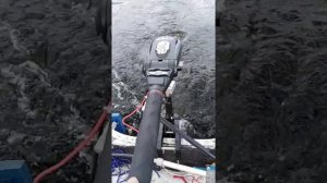 Haswing Protura 3.0