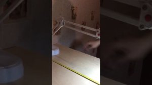 Светильник настольный Camelion KD-017A струбцина +основание, лампа в комплекте