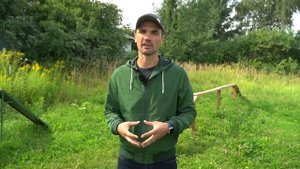 Ответы на частые вопросы по дрессировке собак | Кинолог Андрей Шустов - kinolog.online