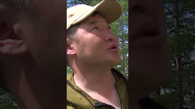 Синские столбы - это невероятно завораживающее зрелище