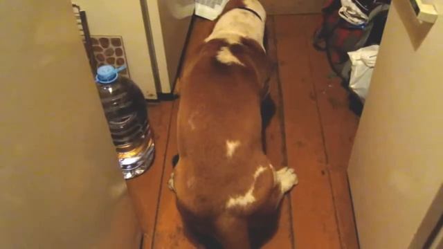 На безрыбье и рак - рыба! смотреть онлайн