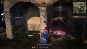 Обзор игры Black Desert