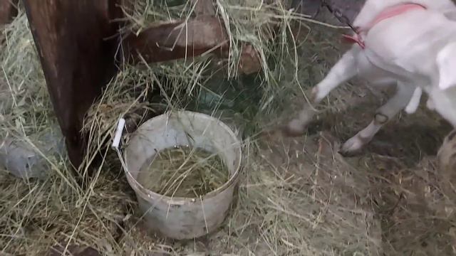 Нас уже 25 000🎉🎉🎉Спасибо каждому из вас😊😊😊 смотреть онлайн