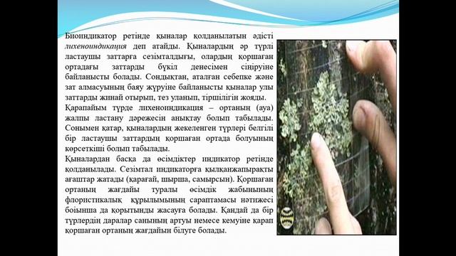 Койшыгулова Г.У. Экологиялық мониторинг. Лекция №12-13 смотреть онлайн