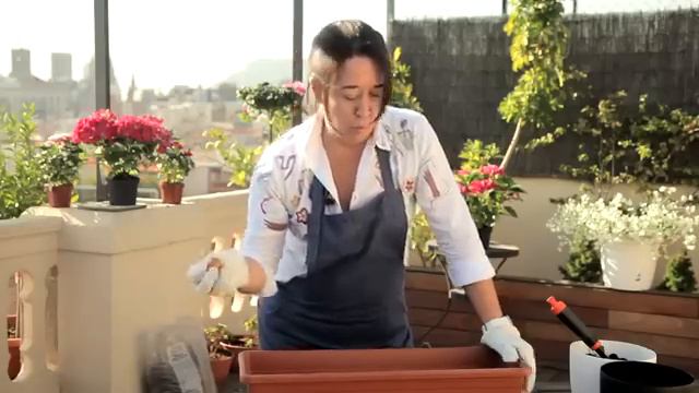 Plantación y Cuidado De Bulbos ✂👩🌾 | El Jardín De Lidl | Lidl España смотреть онлайн