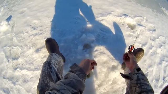 На мормышку с мотылем со льда. смотреть онлайн