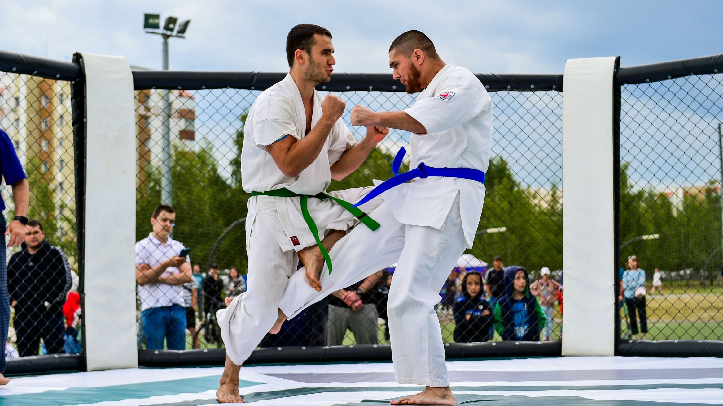 Kyokushin Fight