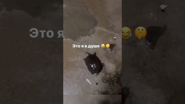 Это я душе ?? смотреть онлайн