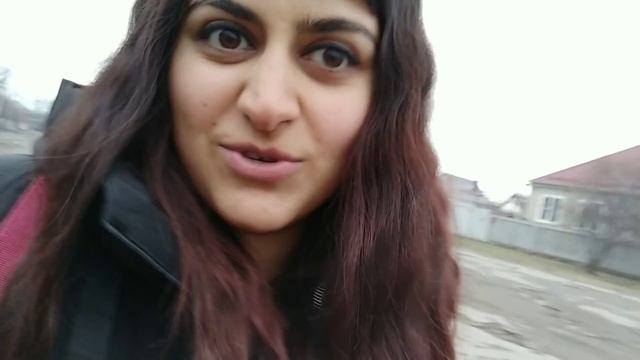 Бездомный ПЕС прижимался к прохожим в надежде что его Заберут домой ?