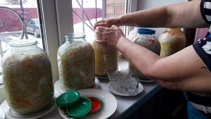 Ферментирование капусты в стеклянных банках под гнетом.