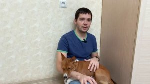Басенджи 11 месяцев или собака на льду | Basenji 11 months old