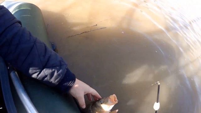 Карп 2 кг смотреть онлайн