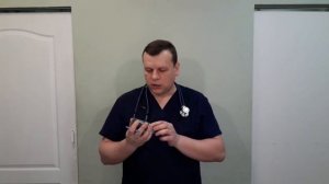 КАК ПРАВИЛЬНО ОБРАБАТЫВАТЬ ПИТОМЦА ОТ НАРУЖНЫХ ПАРАЗИТОВ?